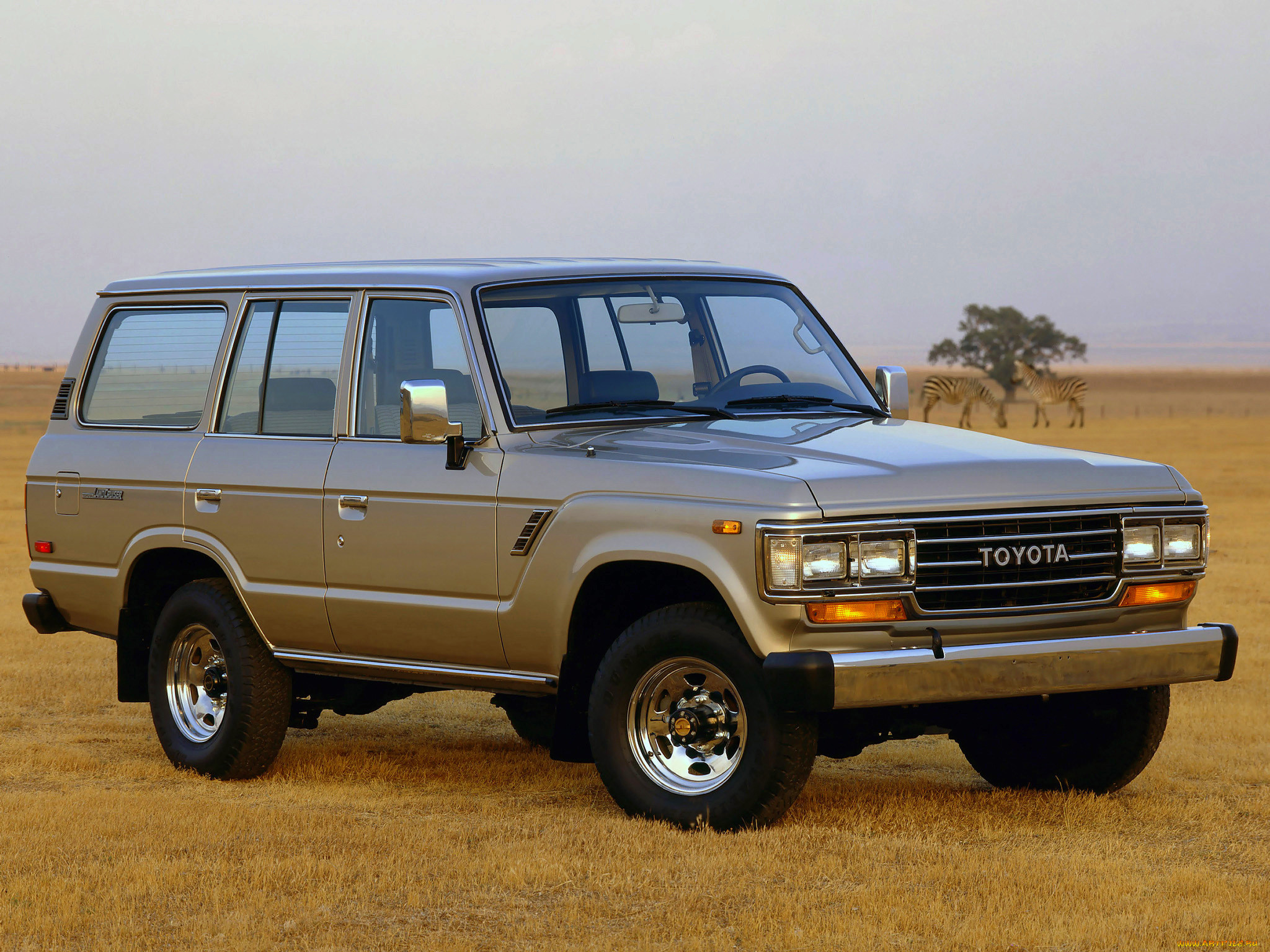 , toyota